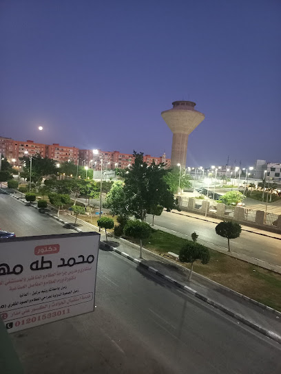 د. محمد طه مهنا