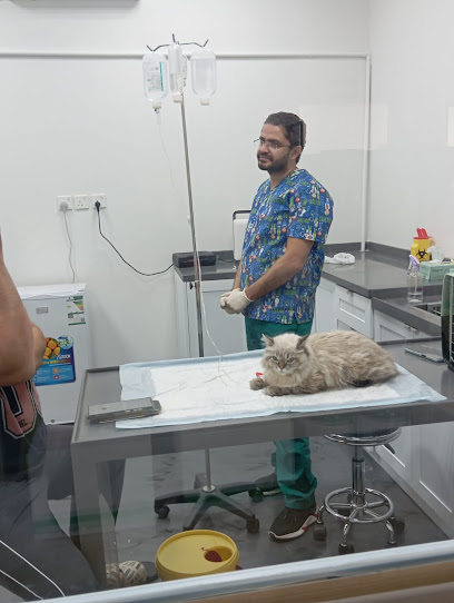 اصدقاء القط الاليف
